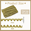 Nylon & Gold Metallic Lace Trim OCOR-WH0070-225A-2