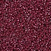 MIYUKI Delica Beads X-SEED-J020-DB0654-3