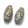 Natural Dalmatian Jasper Two Half Drilled Holes Beads G-G795-11-13-2