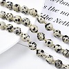 Natural Dalmatian Jasper Beads Strands G-N326-100-02-4