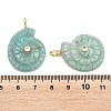 Natural Amazonite Pendants X-G-H353-02G-08-3