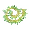 Two Tone Spray Painted Natural Quartz Crystal Points Beads Strands G-Q610-03D-2
