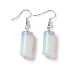 Gemstone Cylindrical Dangle Earrings EJEW-D188-01P-2