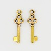 Tibetan Style Alloy Pendants GLF0220Y-1