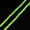 Polyester Luminous Yarn OCOR-SZC0005-01A-4