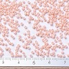 MIYUKI Delica Beads SEED-MY11-DB0206-4