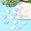 15Pcs 5 Colors Resin Pendants RESI-YW0005-57-4