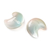 Baking Paint Transparent Glass Beads DGLA-F003-01G-2