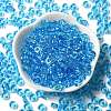 Transparent Colours Glass Seed Beads SEED-E001-T3x6mm-05-2