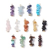 13Pcs Natural Mixed Gemstone Pendants X1-PALLOY-JF02145-01-1