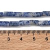 Natural Blue Spot Jasper Beads Strands GG-B091-A25-01-3