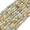Natural Flower Amazonite Beads Strands G-P575-C07-6mm-2