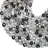 Natural Tourmalinated Quartz Beads Strands G-K389-B26-01-3