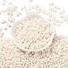 Rubberized Style Glass Seed Beads SEED-Z003-01J-2