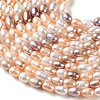Natural Cultured Freshwater Pearl Beads Strands PA-CBABE82-01B-3