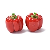 Imitation Vegetable Resin Pendants RESI-K033-03A-03-1