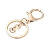Alloy Keychain Clasps FIND-C084-10KCG-2