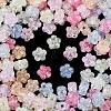 Transparent Crackle Acrylic Beads X-OACR-B031-21-2