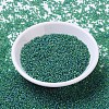 MIYUKI Round Rocailles Beads SEED-JP0008-RR0146FR-2