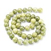 Natural Taiwan Jade Beads Strands X-GSR032-4