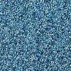 MIYUKI Round Rocailles Beads SEED-G007-RR0279-4