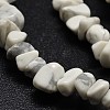 Chip Natural Howlite Beads Strands G-N0134-11-2