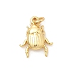 Brass Pendants KK-Z135-10G-1