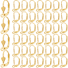 SOFPLATE 200Pcs Brass Leverback Earring Findings KK-SP0001-04G-1