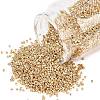 MIYUKI Delica Beads SEED-X0054-DB2501-1
