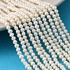 Natural Cultured Freshwater Pearl Beads Strands PEAR-L034-13A-1
