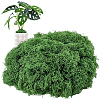 Polyester Artificial Moss DIY-CN0003-92C-1