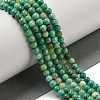 Natural Green Grass Agate Beads Strands G-NH0001-D03-01-2