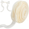 Polyester Organza Ribbons SRIB-WH20020-003A-01-1