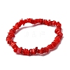 Dyed Natural Freshwater Shell Beaded Stretch Bracelets for Men Women BJEW-JB12478-01-2