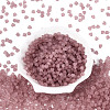 FGB Frosted Transparent Glass Seed Beads SEED-N013-03A-06-2