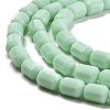 Opaque Glass Beads Strands GLAA-G112-04C-3