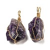 Raw Rough Natural Amethyst Iron Wire Wrapped Pendants G-H308-03G-03-1