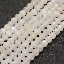 Natural Rainbow Moonstone Beads  Strands G-F460-23