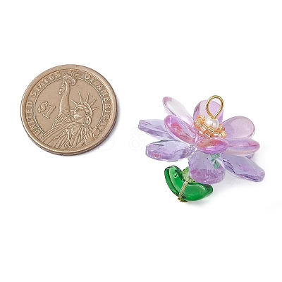 Glass & Acrylic Pendantns PALLOY-MZ01163-01-1