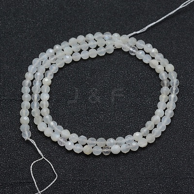 Natural White Moonstone Beads Strands G-E411-07-4mm-1