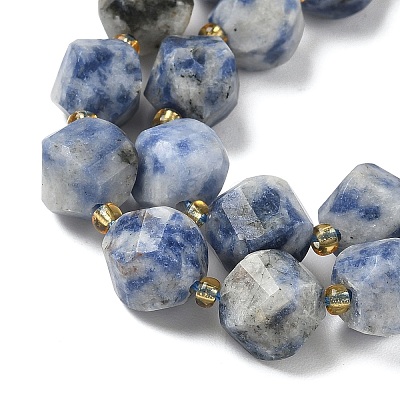 Natural Blue Spot Jasper Beads Strands G-U023-A05-01-1