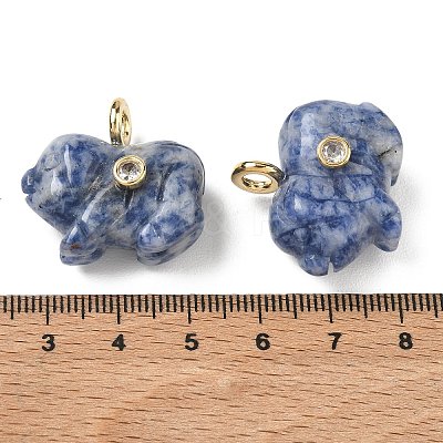 Natural Blue Spot Jasper Carved Pendants GG-CBA105B-03G-G-1