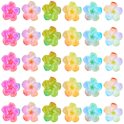 48Pcs 6 Colors Transparent Resin Cabochons RESI-SC0006-62-1