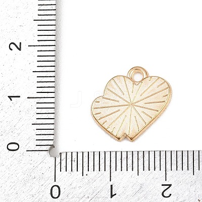 Valentine's Day Alloy Enamel Pendants ENAM-I084-01KCG-23-1