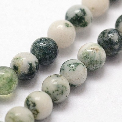 Natural Tree Agate Beads Strands X-G-N0192-01-3mm-1