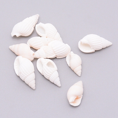 Natural Conch Shell Beads SSHEL-WH0001-29-1