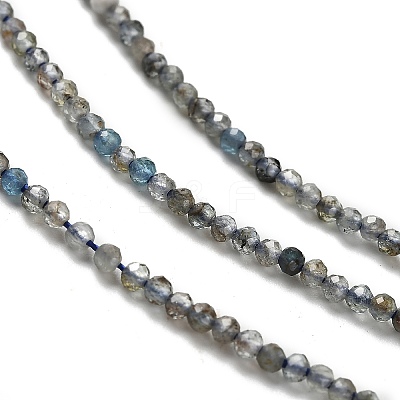 Natural Apatite Beads Strands G-RM2025-A18-2mm-B-1