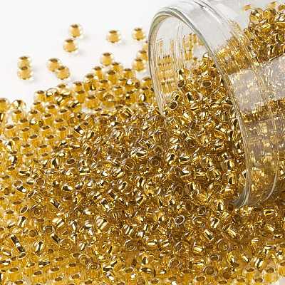 TOHO Round Seed Beads SEED-JPTR11-0752-1