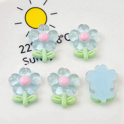 Translucent Resin Decoden Cabochons X-PW-WG80860-01-1
