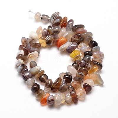 Natural Botswana Agate Chip Beads Strands G-E271-104-1